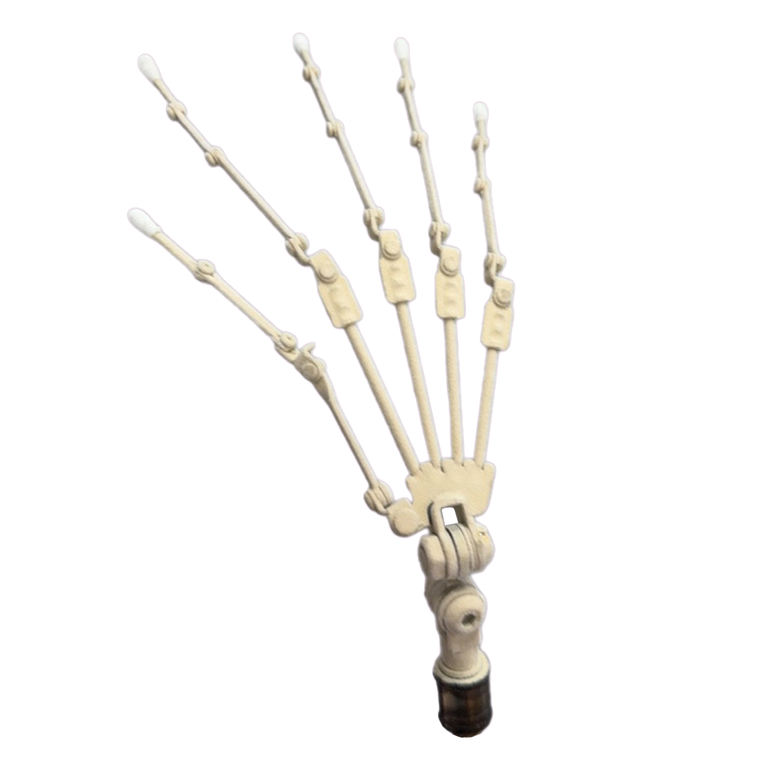 指の自然な可動範囲