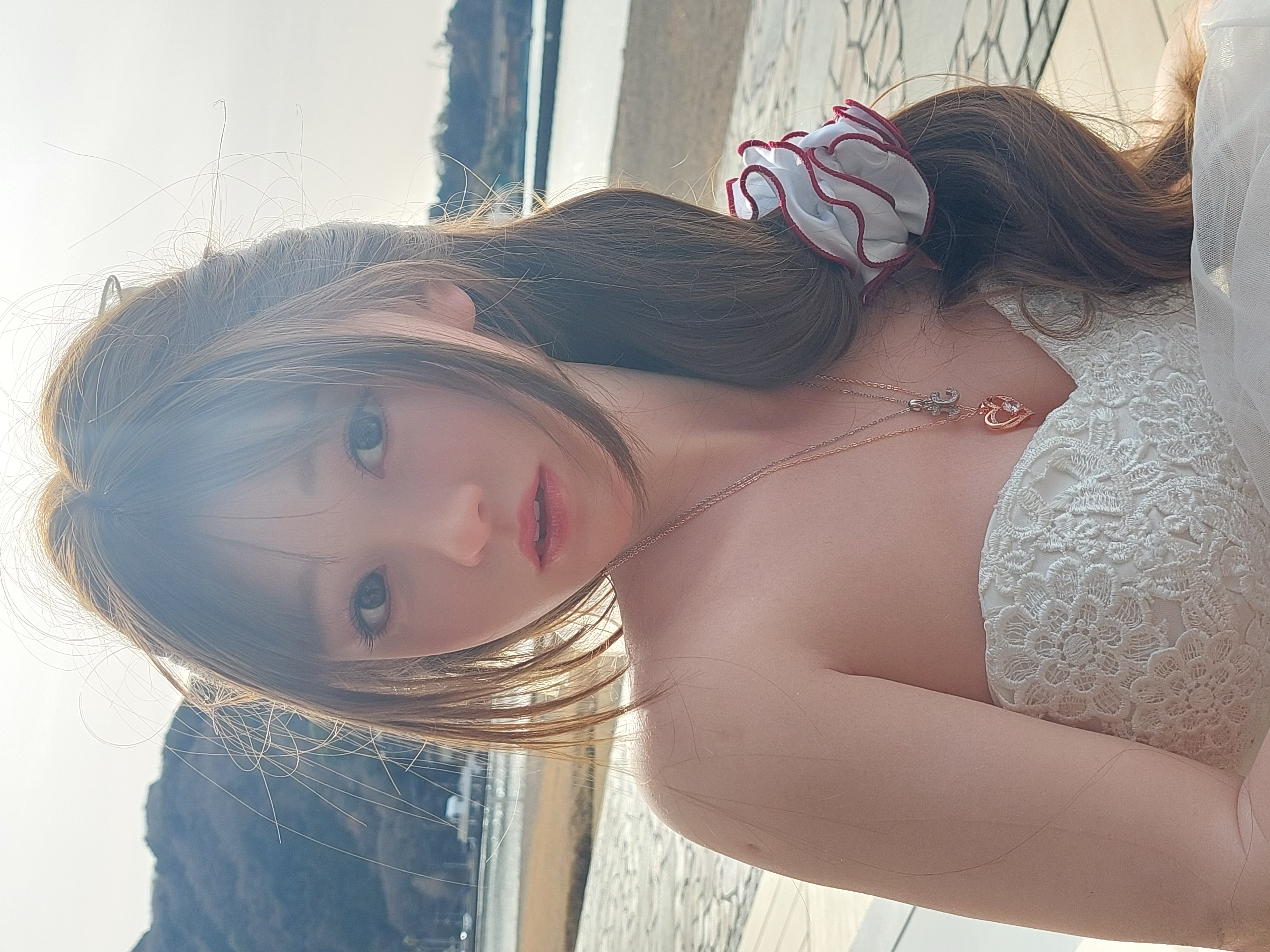 完成したShuyu
